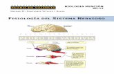 PDV: Biología Mención Guía N°12 [4° Medio] (2012)