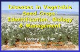 Diseases in Vegetable Seed Crops