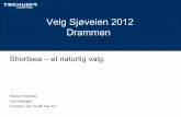 Velg sj¸veien drammen tschudi logistics sj¸veien presentasjon oktt. 2012