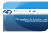 Level II   Financials & Controlling @ Shoubii