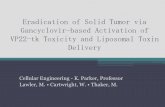 Cellular Engineering - Milap Thaker, Matt Lawler, W. Cartwright et. al Eradication of Solid Tumor via Gancyclovir-based Activation of VP22-tk Toxicity and Liposomal Toxin Delivery