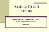 Setting credit limits