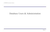 Database Users and Administration