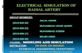 Electrical simulation of radial artery  using comsol.....presentation