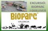 Bioparc i Gulliver (València)
