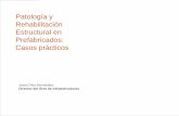 Patología y Rehabilitación Estructural en Prefabricados: Casos Prácticos.