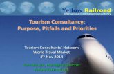 Tourism Consultancy: Purposes, Pitfalls and Priorities