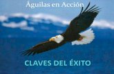 Águilas en acción claves del éxito-by-Adriana Arbelo