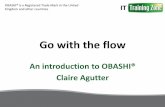 Go with the flow apmg