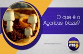 Benef­cios do cogumelo Agaricus blazei