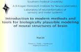 Introduction to Modern Methods and Tools for Biologically Plausible Modelling of Neural Structures of Brain. Part 3