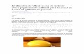 Evaluación de oleorresina de achiote como pigmentante natural para la yema de huevo en gallinas de postura