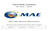 Informe Diario MAE 06-06-12