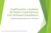Codificación y Análisis de Datos Cuantitativos con Software MsExcel
