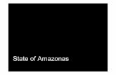 Overview about Amazonas - economic and environmental facts - 2009