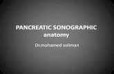 Pancreatic sonographic anatomy