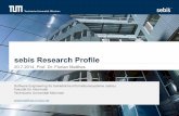 sebis research profile
