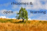 Rhizomes and open learning