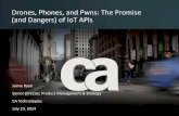 Drones, Phones & Pwns the Promise & Dangers of IoT APIs: Use APIs to Securely  Leverage IoT