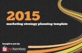 2015 Marketing Strategy & Planning Template