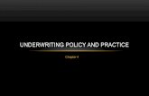 Ch 4 underwriting policy and practice