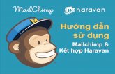 Sử dụng mailchimp trong các website của Haravan