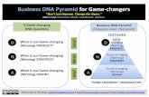 The Business DNA Pyramid for Game-changers: "Don't Just Improve. Change the Game."