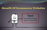Benefits Of Ecommerce Websites
