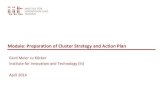 Strategy development of clusters and cluster initiatives