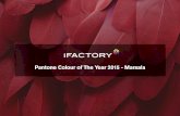 Pantone Colour of The Year 2015 Marsala