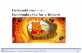 Helsesektoren - en honningkrukke for gründere - Gründermessen 2014 Kari J Kværner