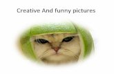 Creative and funny pictures