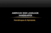 American sign language handshapes and abc's