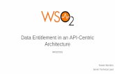 Data Entitlement in an API-Centric Architecture