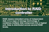 Understanding RAID Controller