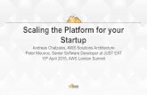 Scaling the Platform for Your Startup