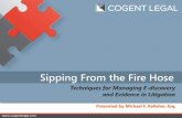 Sipping From the Fire Hose - Techniques for Managing E-Discovery and Evidence in Litigation