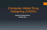 Computer aided drug designing (CADD)