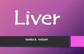 Liver, liver metastasis, liver transplant