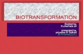 Priyanka  biotransformation
