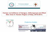Human surveillance of dengue, chikungunya and West Nile virus in Veneto region of Italy 2010-13Human surveillance of dengue, chikungunya and West Nile virus in Veneto region of Italy