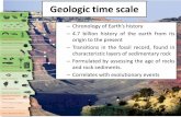 Geologic time scale and extinction