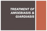 Treatment of amoebiasis & giardiasis