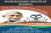 Mnrega and it's macroeconomic impacts