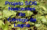 Projeto SOS Nascentes 3°E 2009