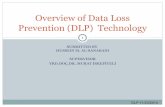 Data loss prevention (dlp)