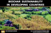 Biocharculture ibi Webinar_4