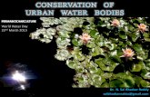 Conservation of Urban Water Bodies - Permabiocharculture