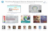 Visualising Biological Data for Research and Outreach - Sean O'Donoghue