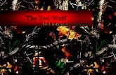 The red wolf